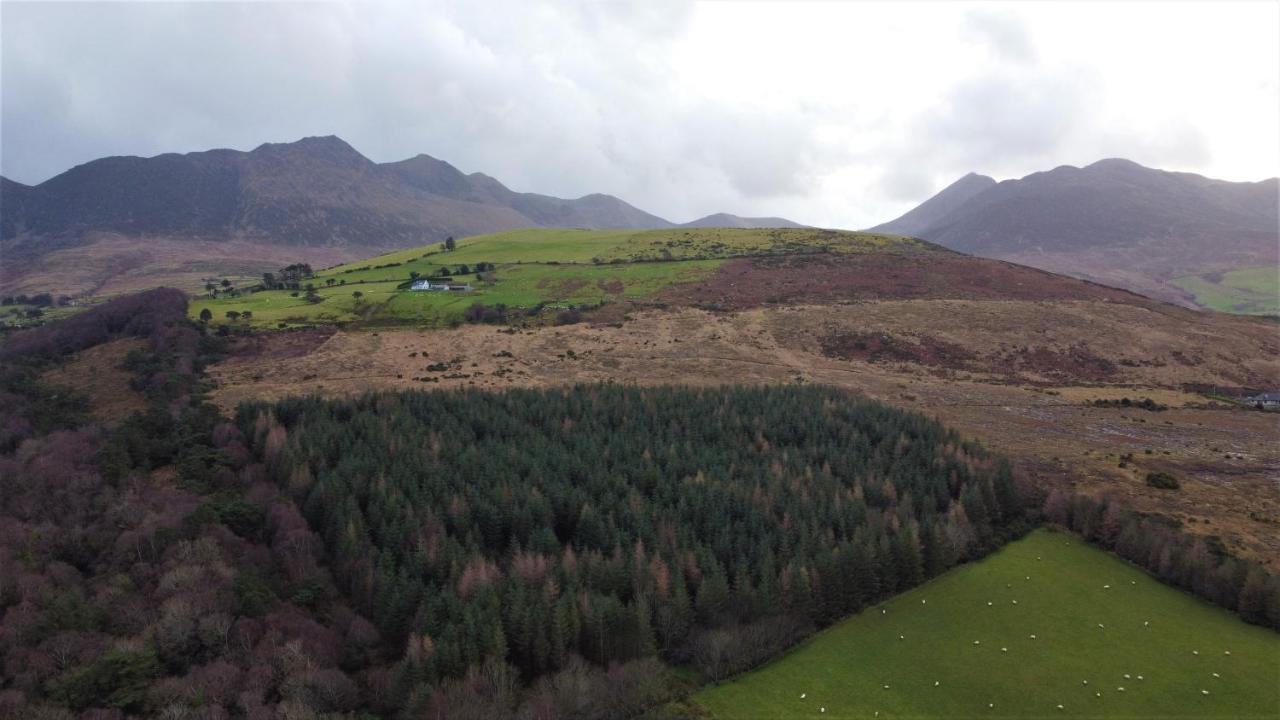 Сasa de vacaciones Mount Alohert House Killarney